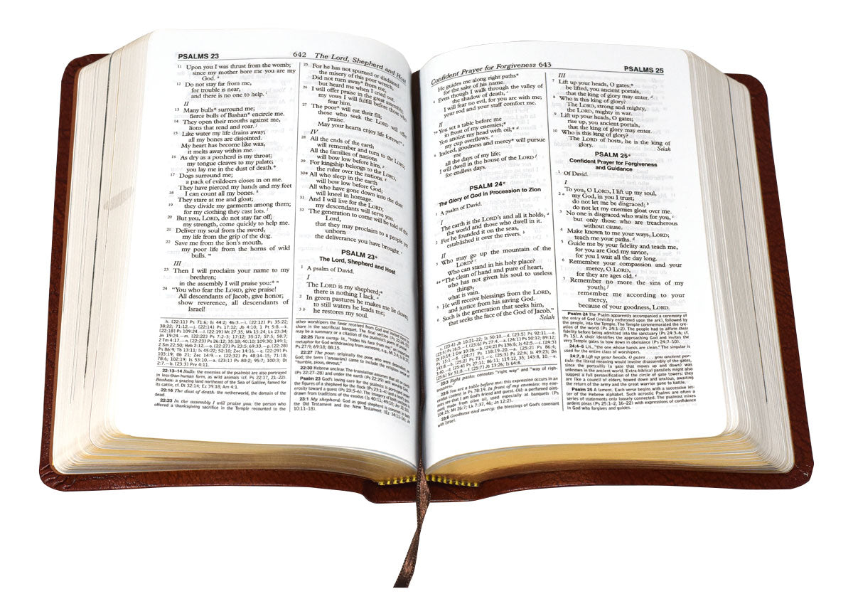 St. Joseph NABRE Personal Size Gift Edition 510/13BN Bible