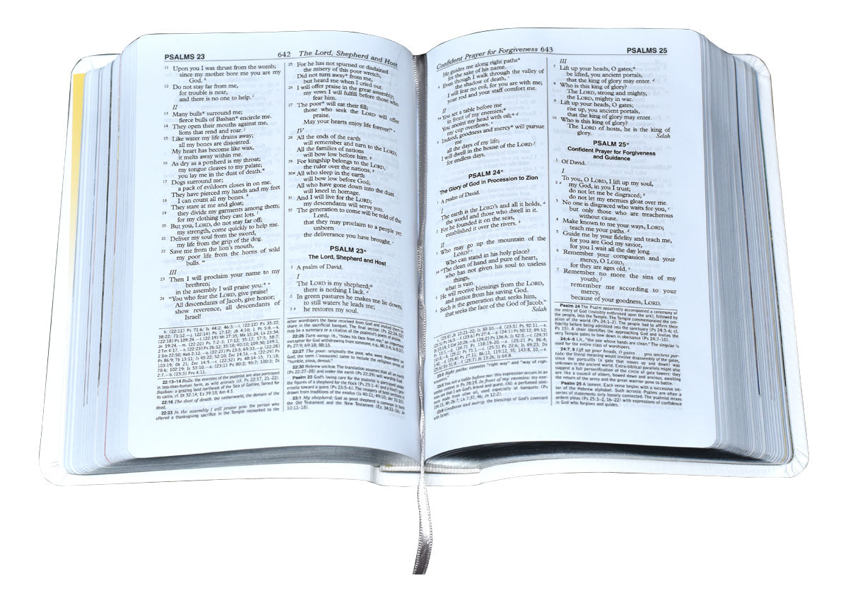 St. Joseph NABRE Personal Size Gift Edition 510/13W Bible