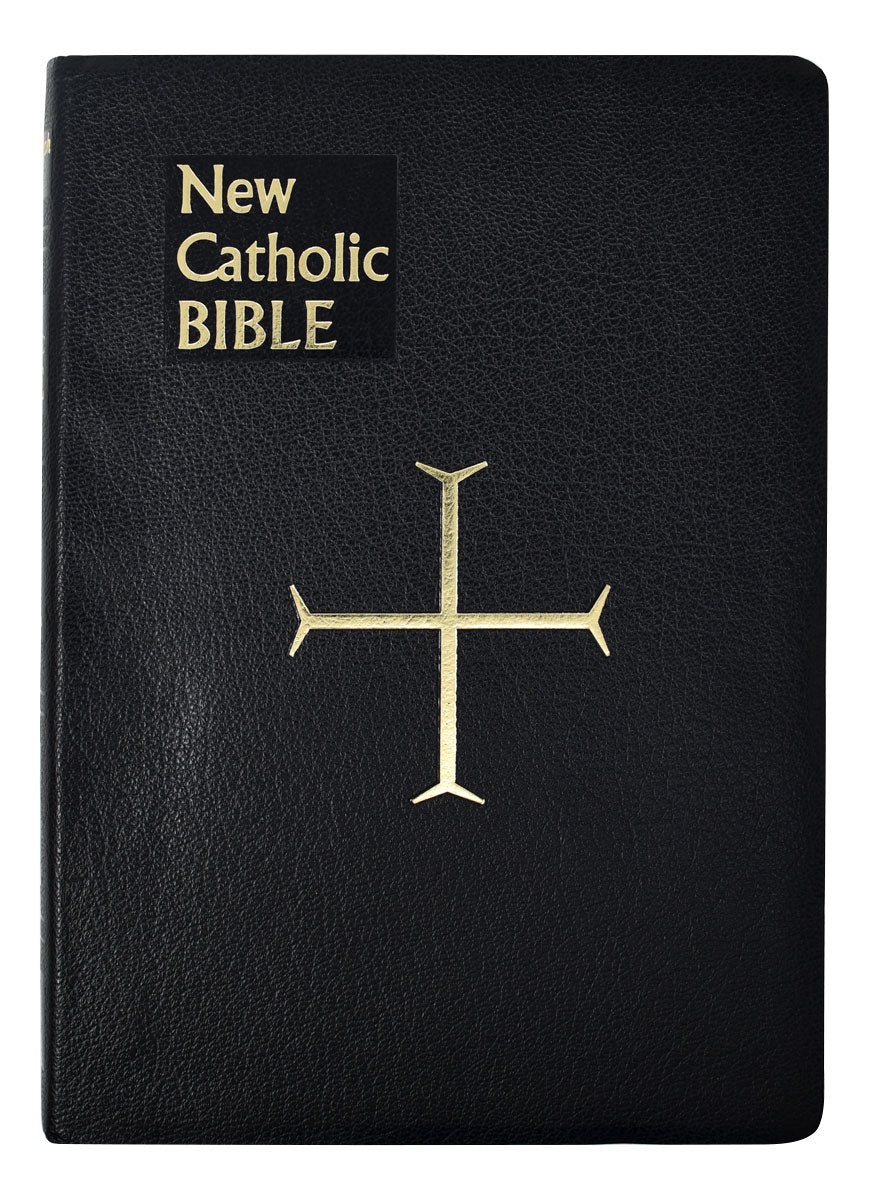 St. Joseph New Catholic Bible Gift Edition Large Type 614/10B
