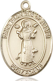 Extel Medium Oval 14kt Gold Filled St. Francis of Assisi Pendant with 18" chain, Made in USA