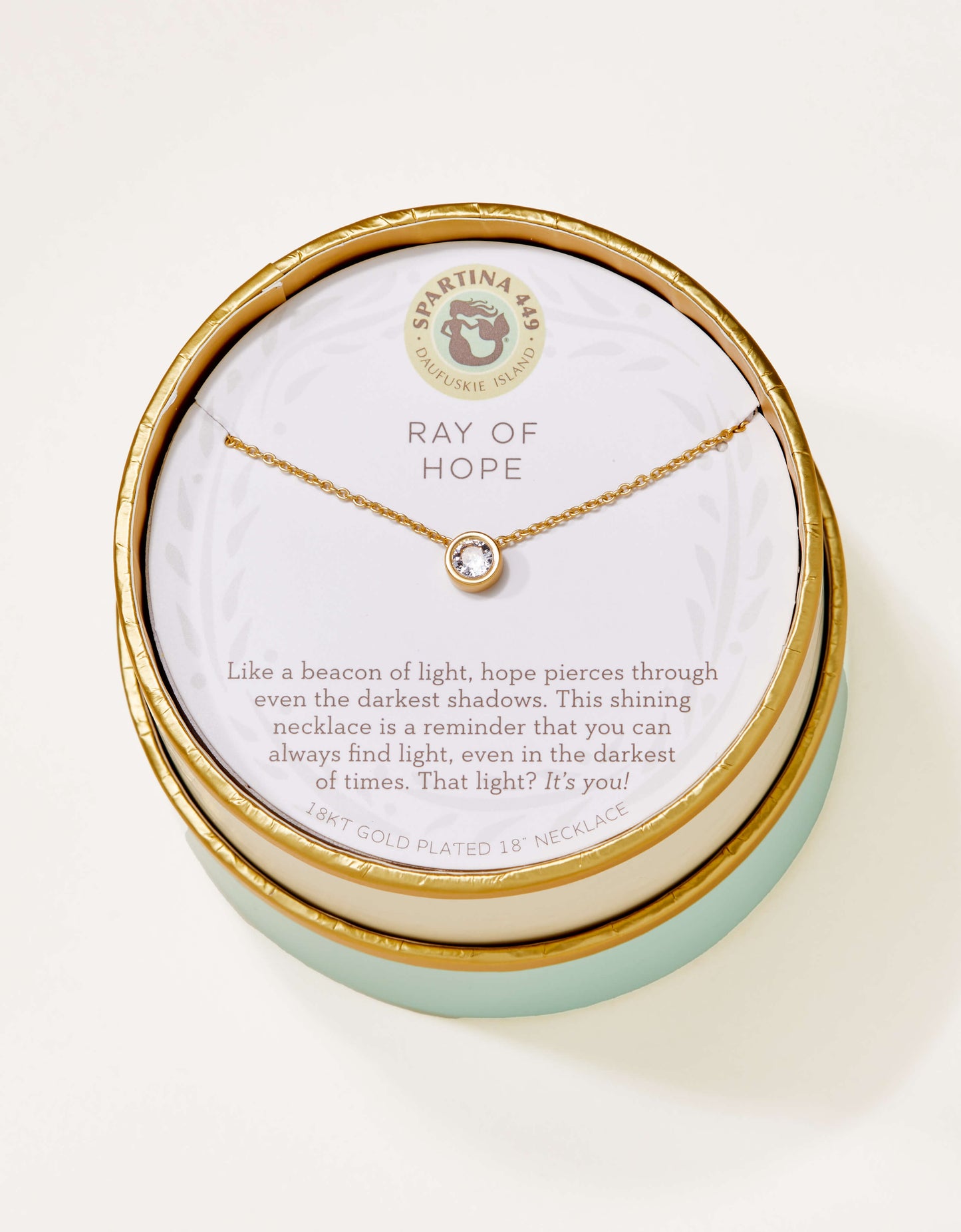 Spartina-410047