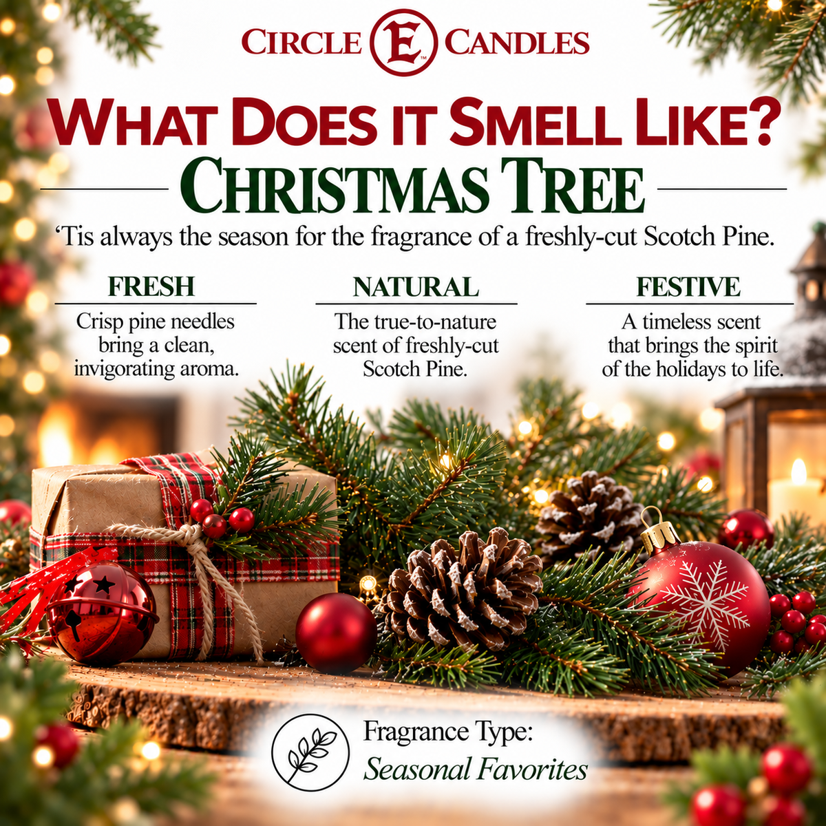 Circle E Candles, Christmas Tree Scent, Medium Size Jar Candle, 7oz – Fresh Evergreen Pine Home Fragrance, Classic Tree-Inspired Candle, Made in USA