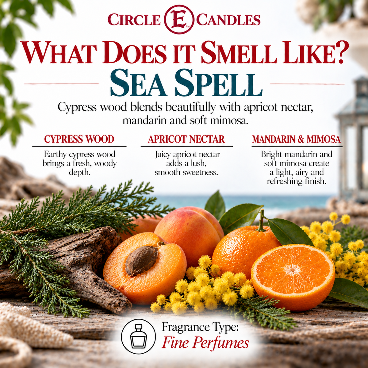 Circle E Candles, Sea Spell Scent, Medium Size Jar Candle, 7oz – Fresh Ocean Marine Home Fragrance, Clean Airy Beach-Inspired Candle, Made in USA