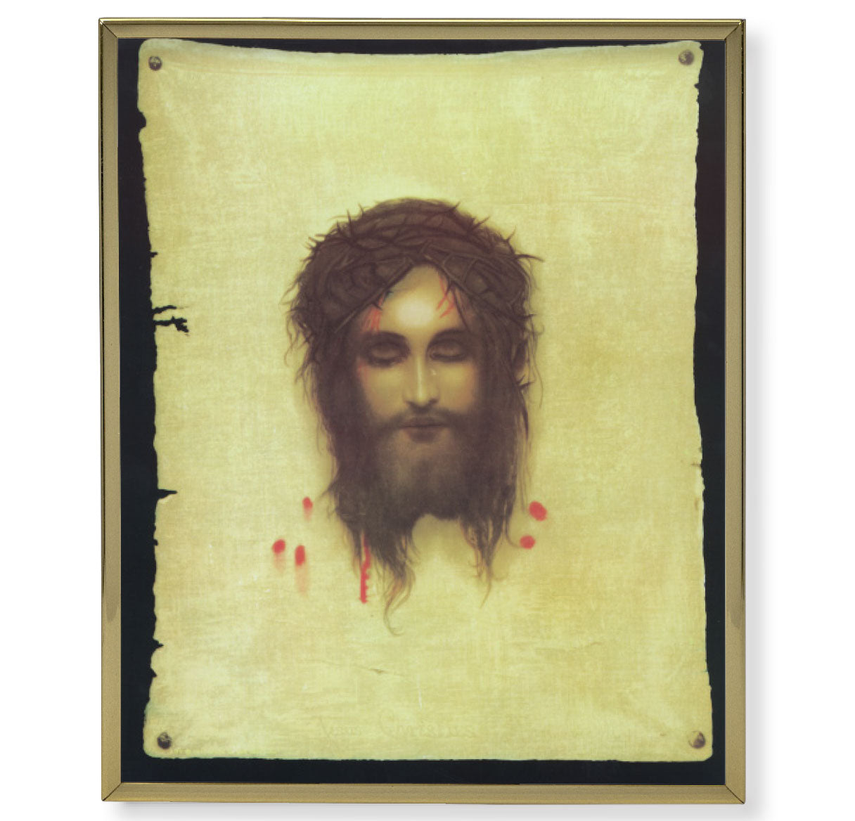 Veronica's Veil Picture Framed Plaque Large, Gold Plaque Frame