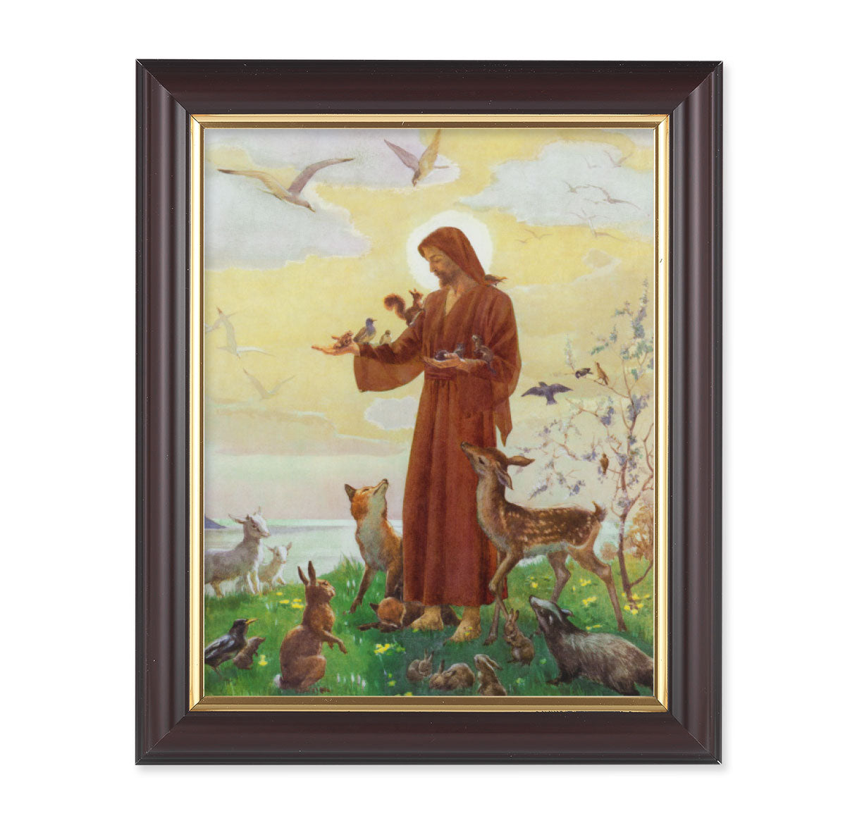 St. Francis Picture Framed Wall Art Decor Medium Frame