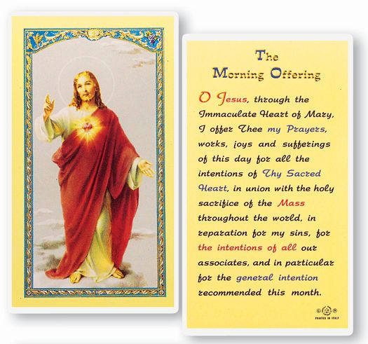 Morning Offering Laminated Catholic Prayer Holy Card Pack of 25