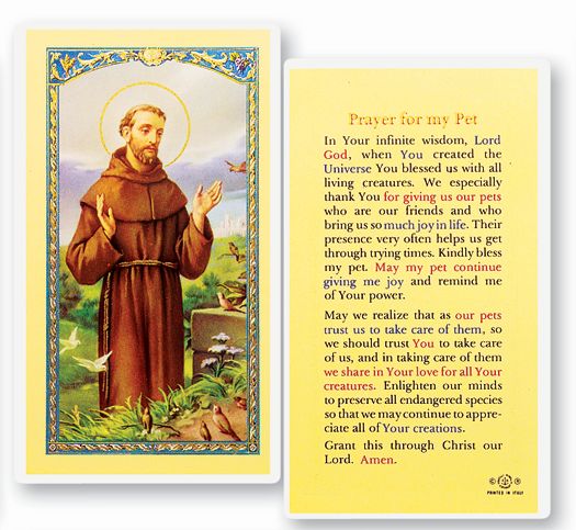 Saint Francis Prayer for My Pet Laminated Catholic Holy Card Pack of 25
