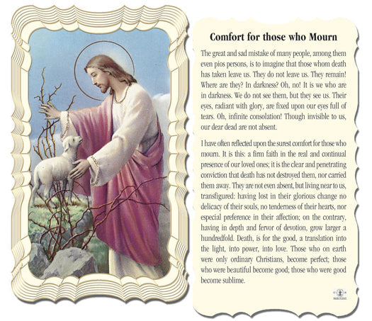 Comfort For Those Who Mourn Catholic Prayer Holy Card Pack of 50