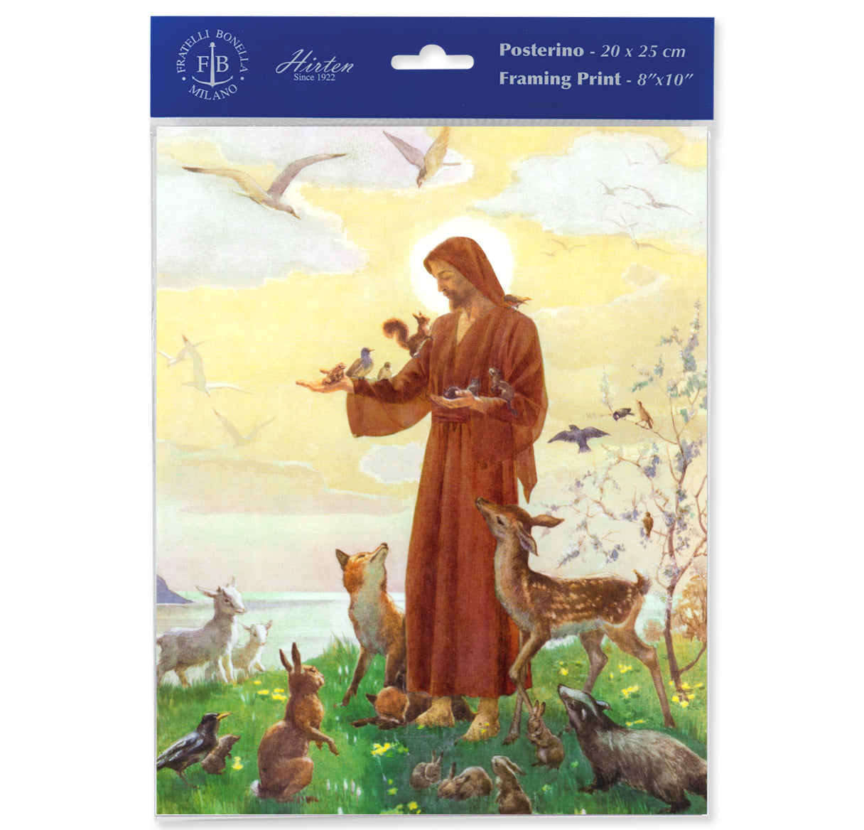 St. Francis Framing Print, Medium, Print Only - 8x10