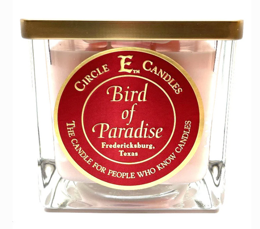 How to Create a Relaxing Atmosphere With Bird of Paradise Candles