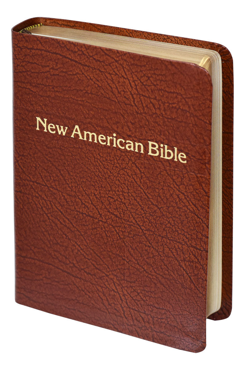 St. Joseph NABRE Personal Size Gift Edition 510/13BN Bible