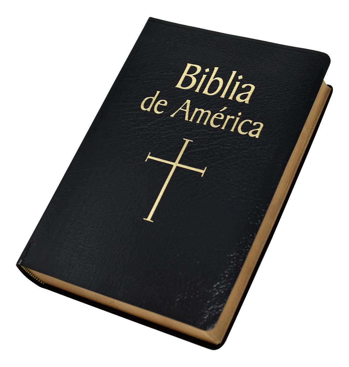 Biblia de America 610BLKS Elegant Leather Bound Edition