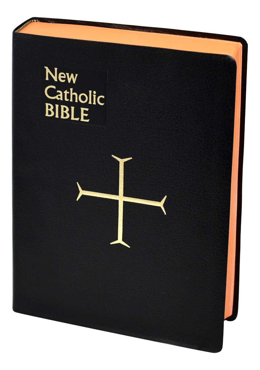 St. Joseph New Catholic Bible Gift Edition Large Type 614/10B