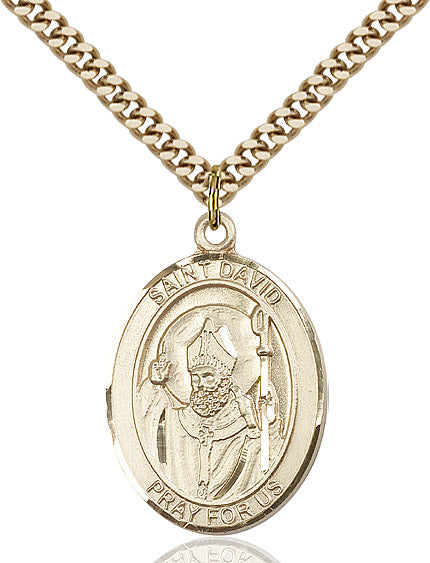 Extel Large Oval 14kt Gold Filled St. David of Wales Pendant with 24" chain, Made in USA