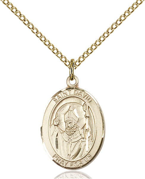Extel Medium Oval  14kt Gold Filled St. David of Wales Pendant with 18" chain, Made in USA