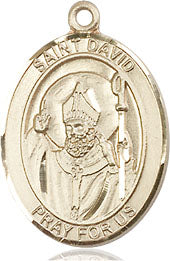 Extel Medium Oval  14kt Gold Filled St. David of Wales Pendant with 18" chain, Made in USA