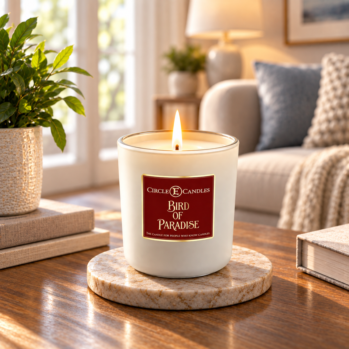 Circle E Candles, Bird of Paradise Scent, Medium Size Jar Candle, 14oz – Tropical Floral Home Fragrance, Sweet Exotic Bloom Candle, Made in USA