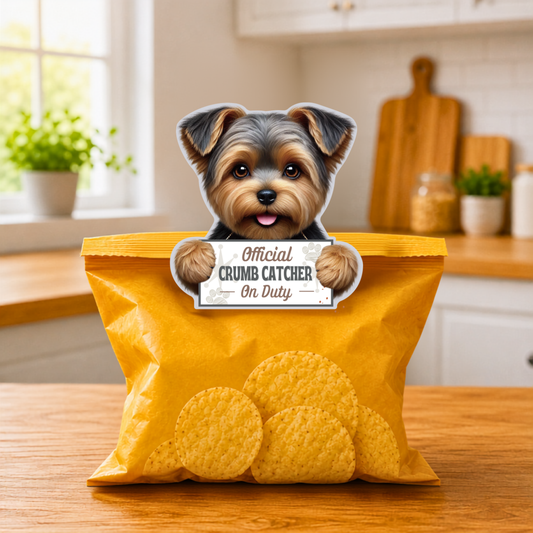 Yorkie, Puppy Cut, Chip clip