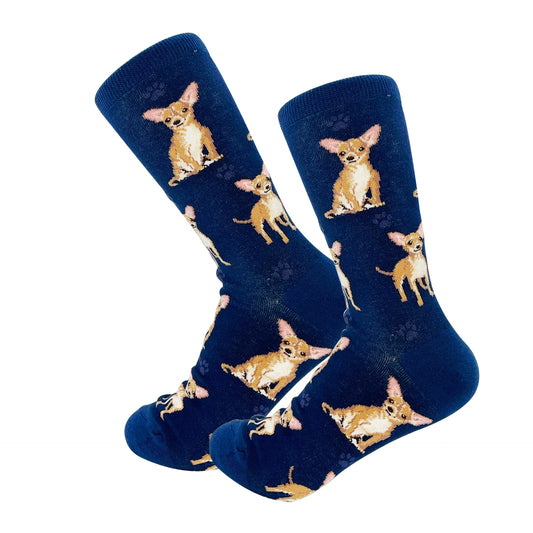 Chihuahua, Tan Socks, Full Body Dog