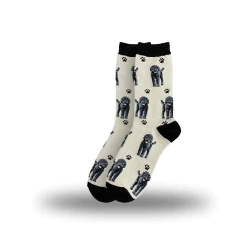 Labradoodle Black Socks, Full Body Dog