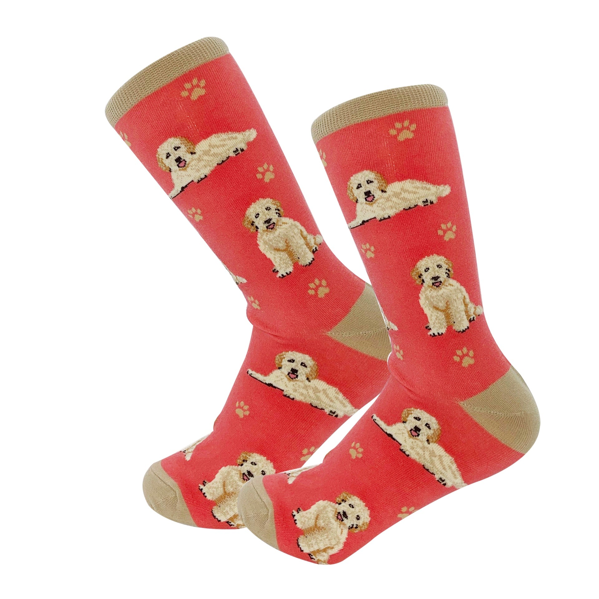 Goldendoodle, peach Socks, Full Body Dog