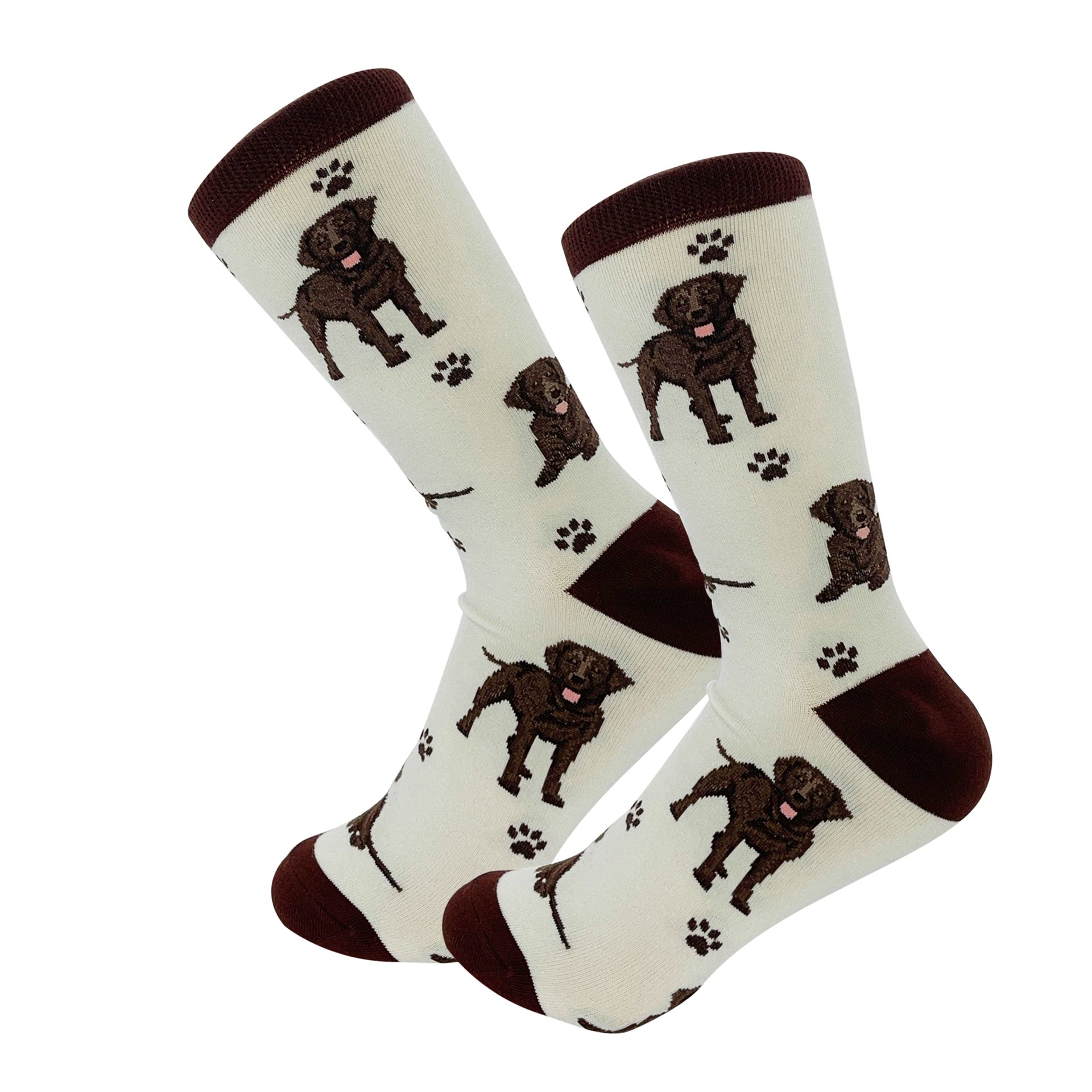Labrador, Chocolate Socks, Full Body Dog