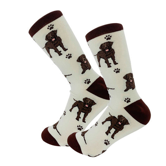 Labrador, Chocolate Socks, Full Body Dog