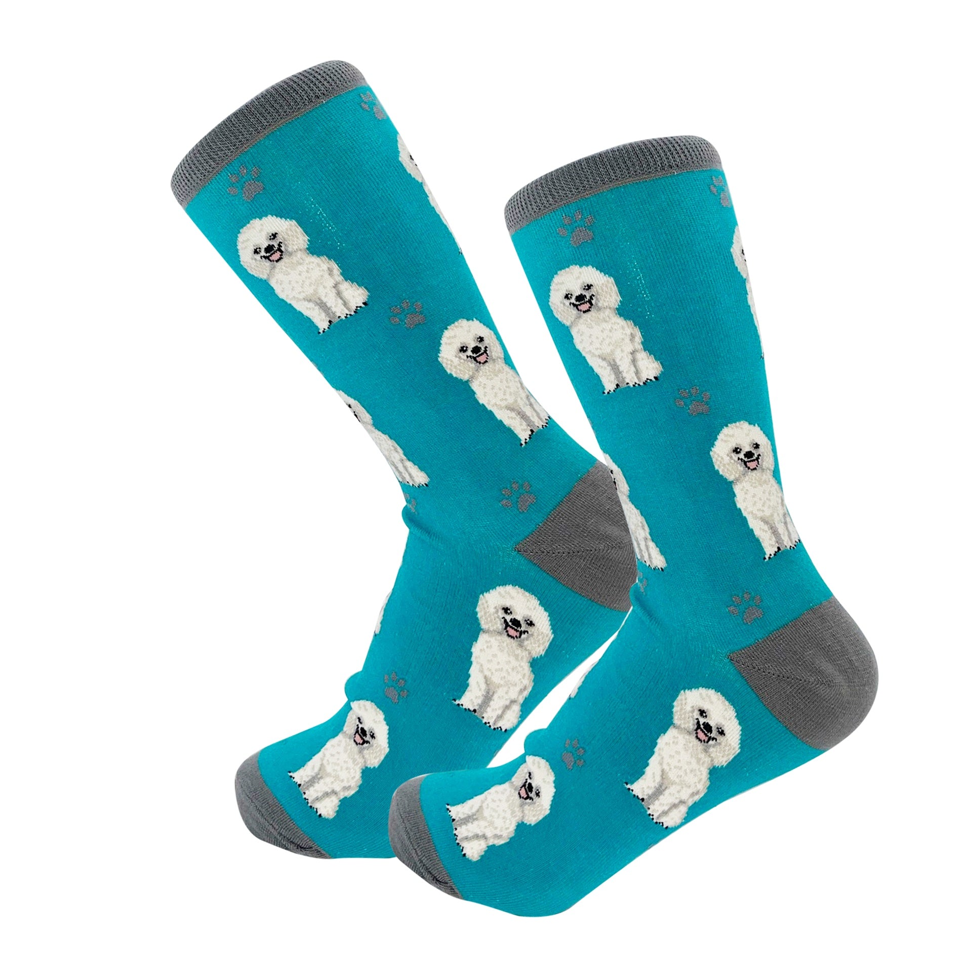 Poodle White Socks, Full Body Dog