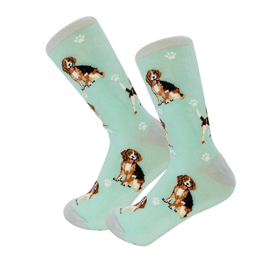 Beagle Socks, Full Body Dog