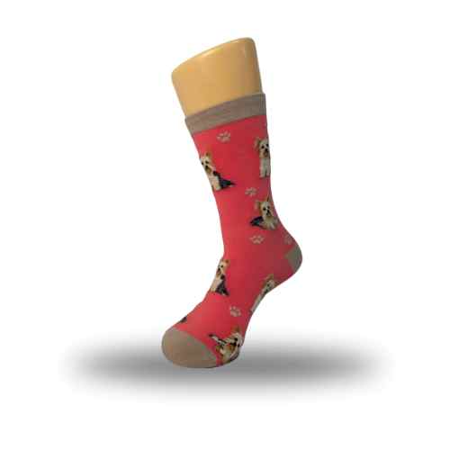 Yorkie Socks, Full Body Dog