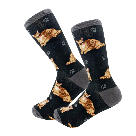 Cat, Orange Tabby, Full Body Socks