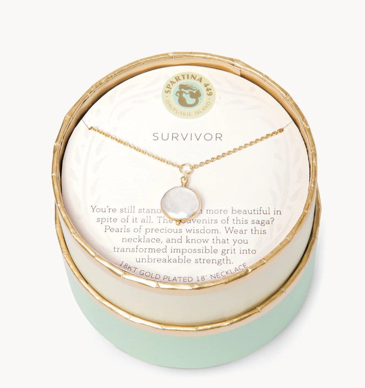 Spartina-291315