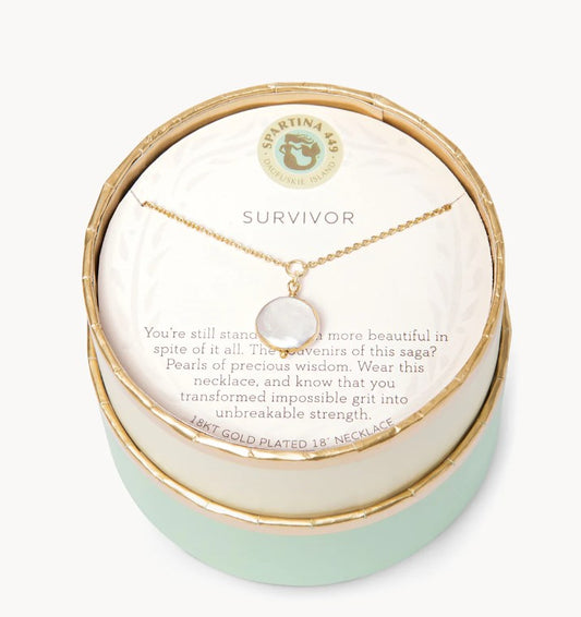 Spartina-291315