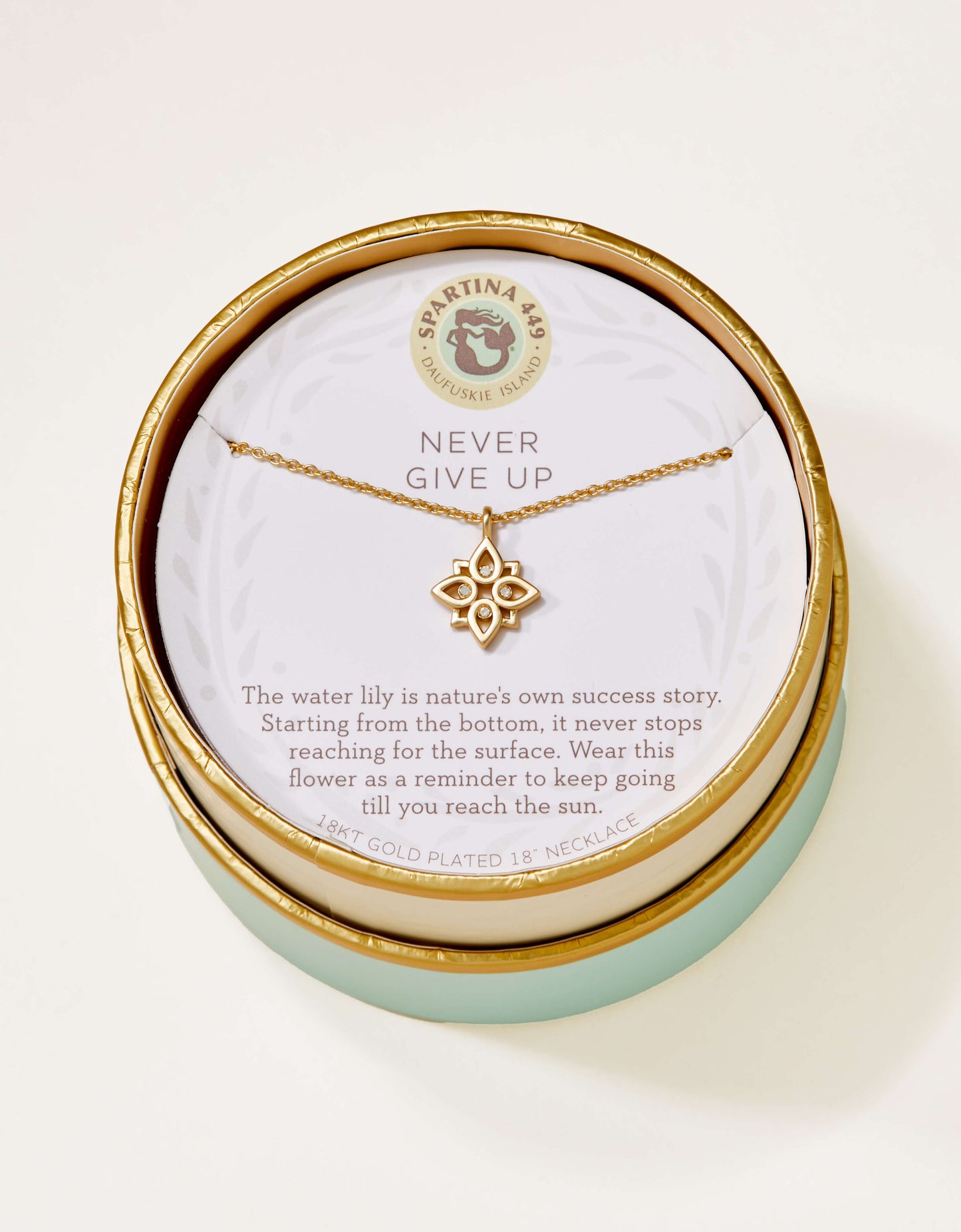 Spartina-410078