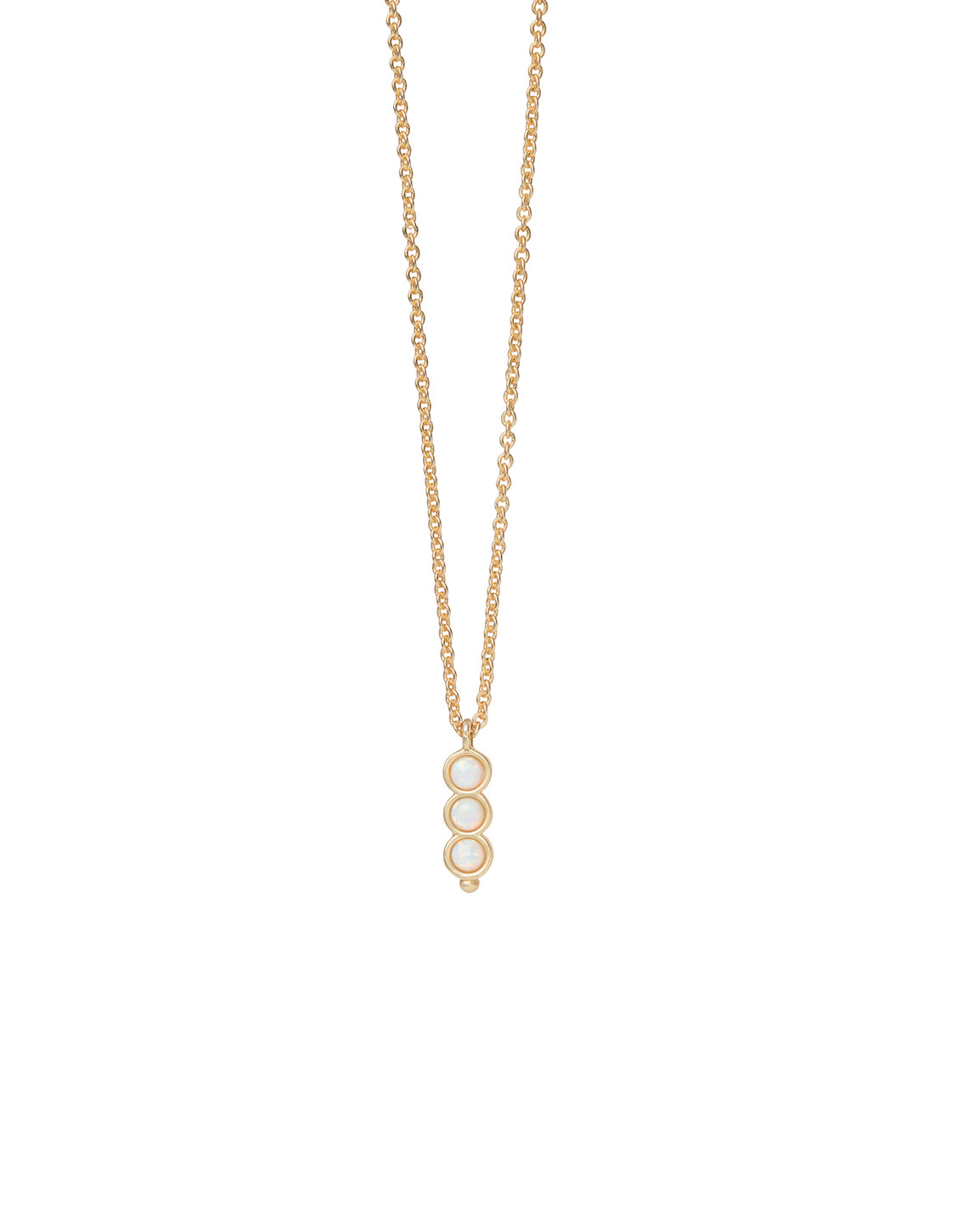 Spartina-965748