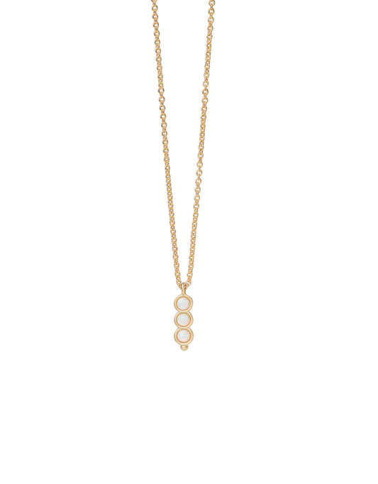 Spartina-965748