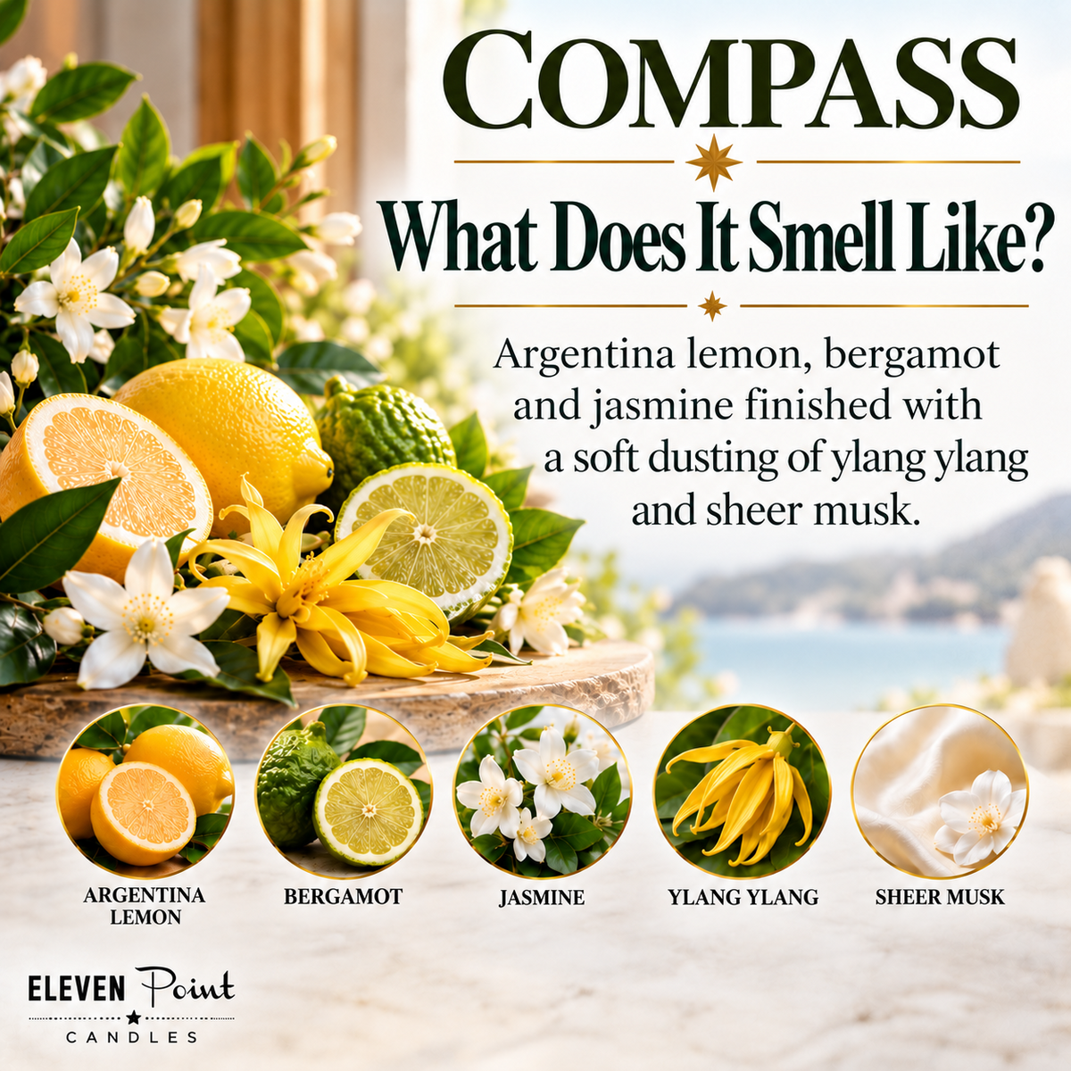 Eleven Point Compass fragrance notes
