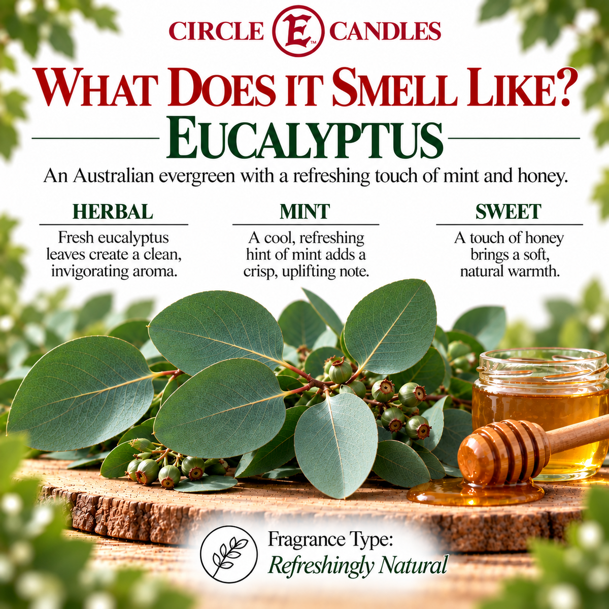Circle E Candles Wax Melt Tart Eucalyptus Scent Pack of 6