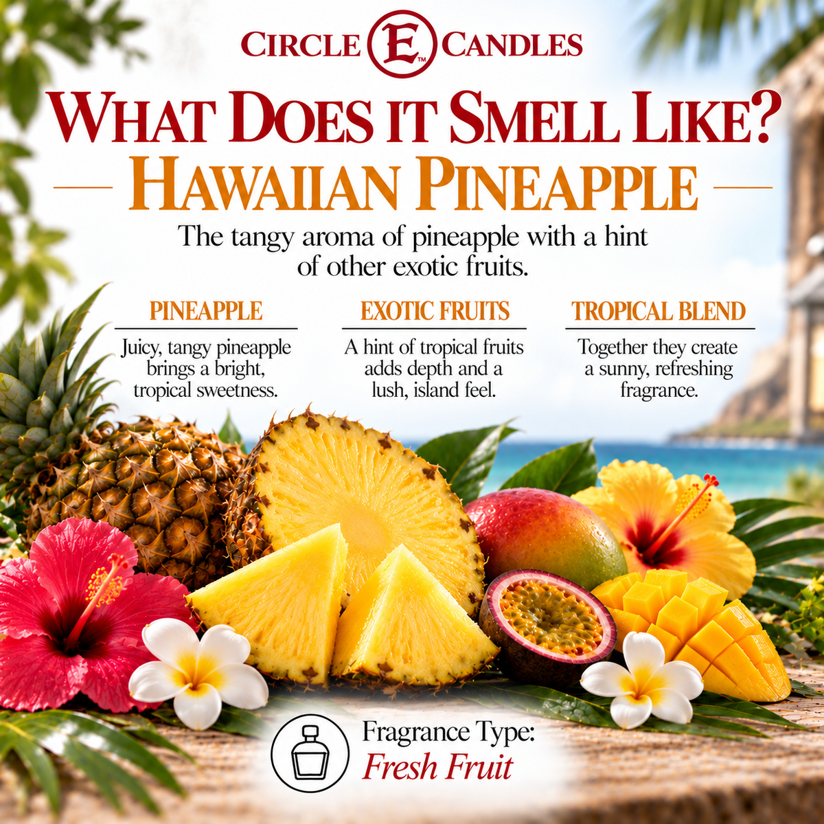 Circle E Candles Wax Melt Tart Hawaiian Pineapple 6 Tarts