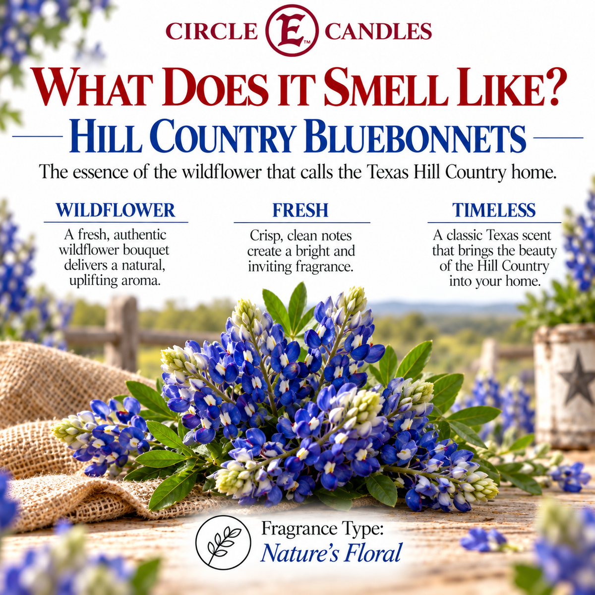Circle E Candles, Hill Country Bluebonnets Scent, Medium Size Jar Candle, 14oz – Fresh Wildflower Home Fragrance, Soft Blooming Floral Candle, Made in USA
