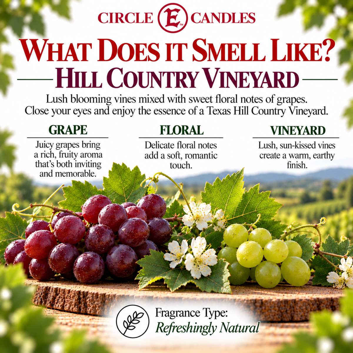 Circle E Candles, Hill Country Vineyards Scent, Medium Size Jar Candle, 7oz – Fresh Herbal Vineyard Home Fragrance, Crisp Natural Scented Candle, Made in USA