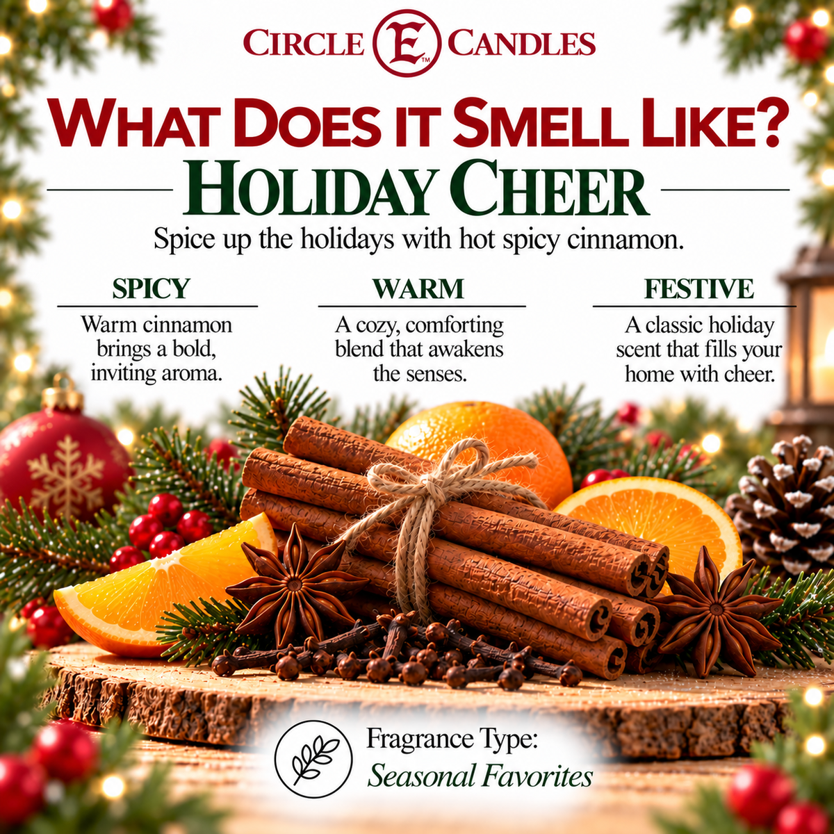 Circle E Candles, Holiday Cheer Scent, Medium Size Jar Candle, 14oz – Warm Festive Winter Home Fragrance, Bright Seasonal Scented Candle, Made in USA