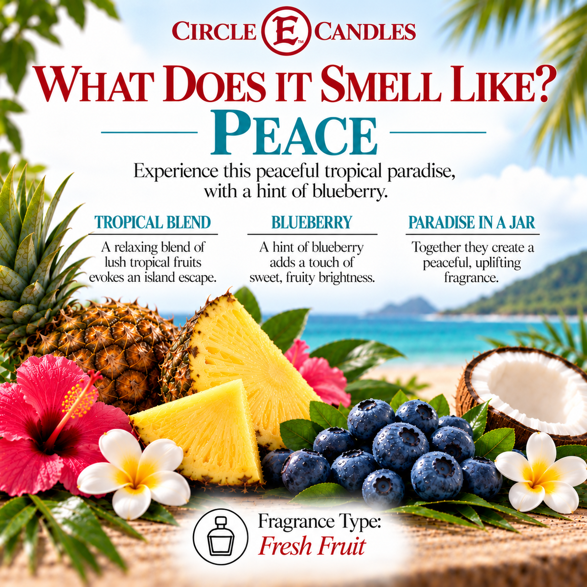 Circle E Candles Wax Melt Tart Peace Scent Pack of 6 Tarts