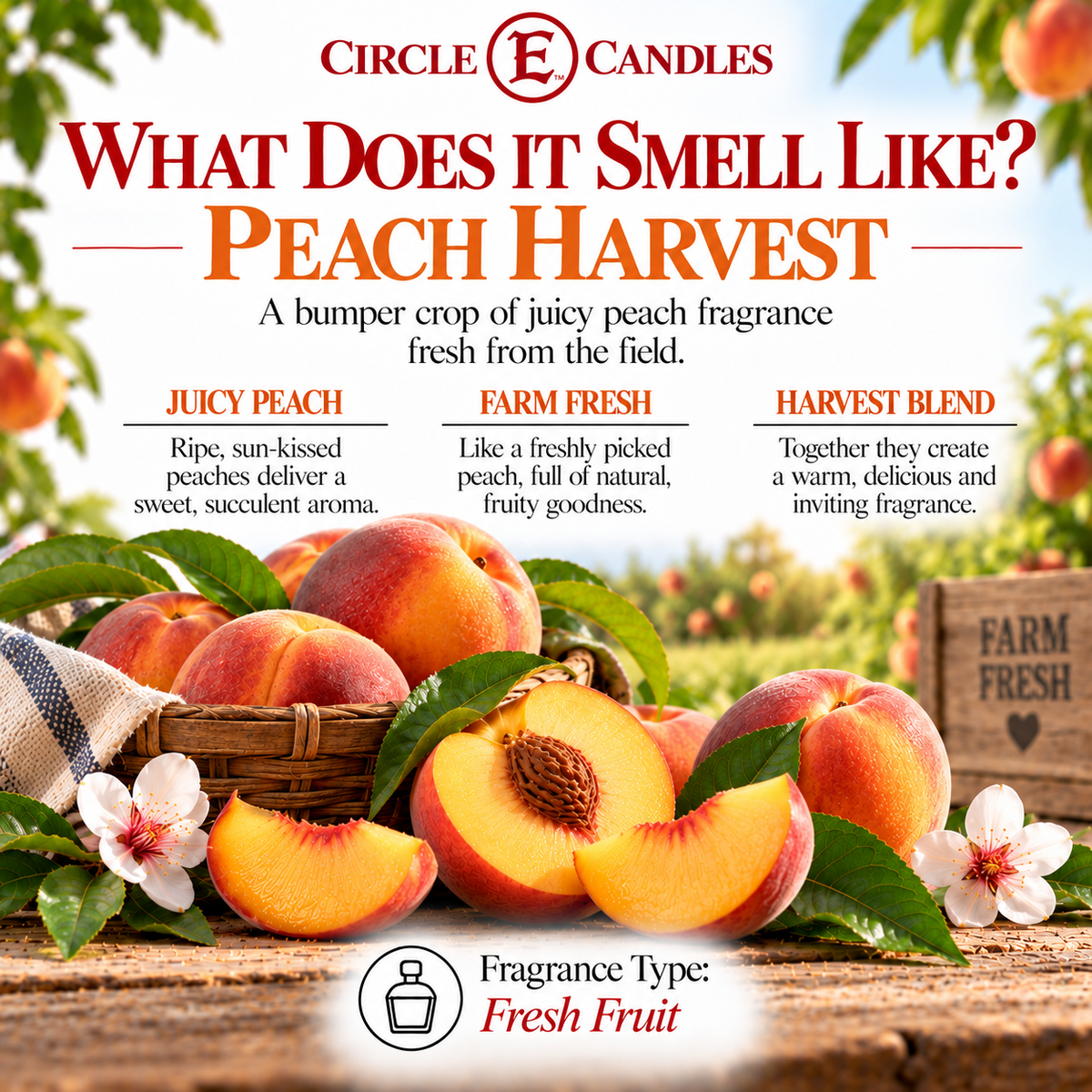 Circle E Candles, Peach Harvest Scent, Medium Size Jar Candle, 7oz – Sweet Juicy Fruity Home Fragrance, Fresh Orchard-Inspired Candle, Made in USA