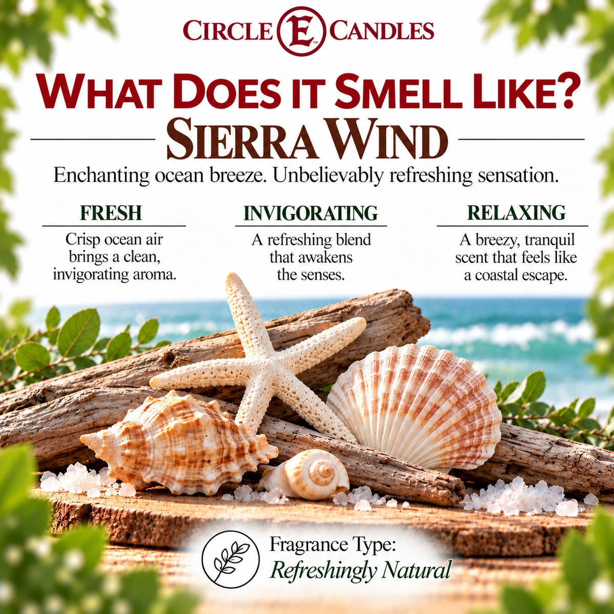 Circle E Candles Wax Melt Tart Sierra Wind Scent Pack of 6