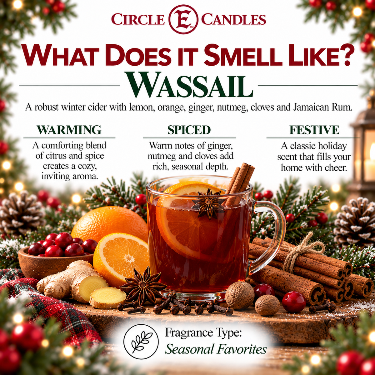 Circle E Candles, Wassail Scent, Medium Size Jar Candle, 7oz – Warm Spiced Citrus Home Fragrance, Festive Seasonal Scented Candle, Made in USA