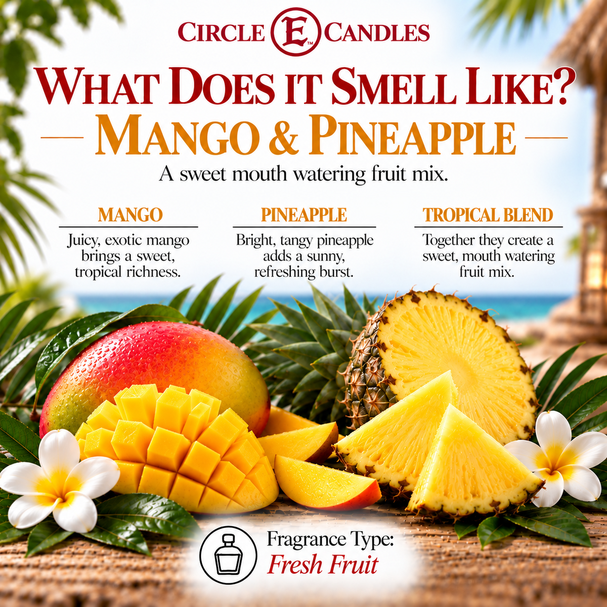 Circle E Candles, Mango & Pineapple Scent, Medium Size Jar Candle, 7oz – Tropical Fruity Citrus Home Fragrance, Fresh Juicy Blend Candle, Made in USA