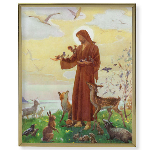 St. Francis Picture Framed Plaque, Large, Gold Plaque Frame