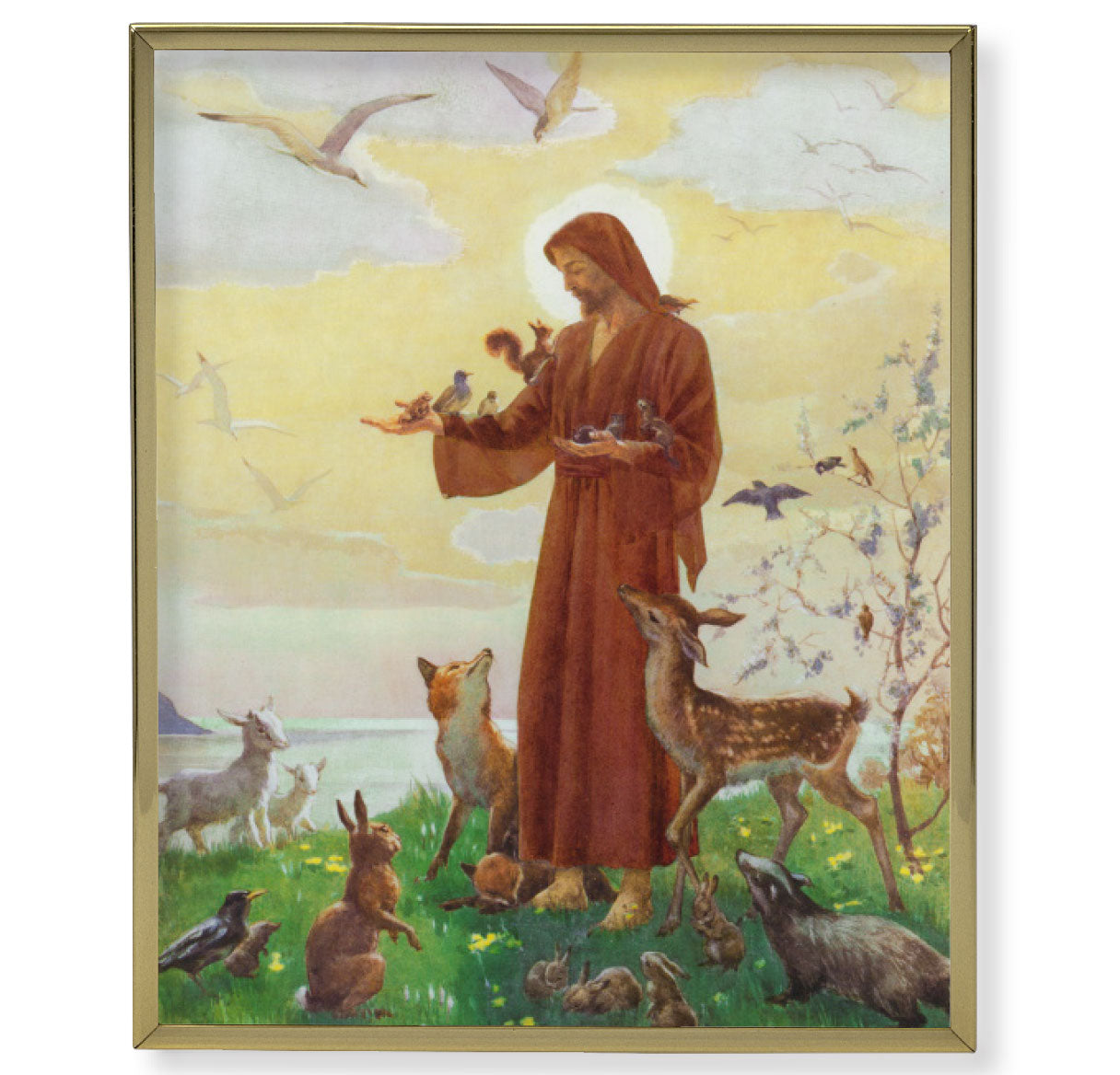 St. Francis Picture Framed Plaque, Large, Gold Plaque Frame