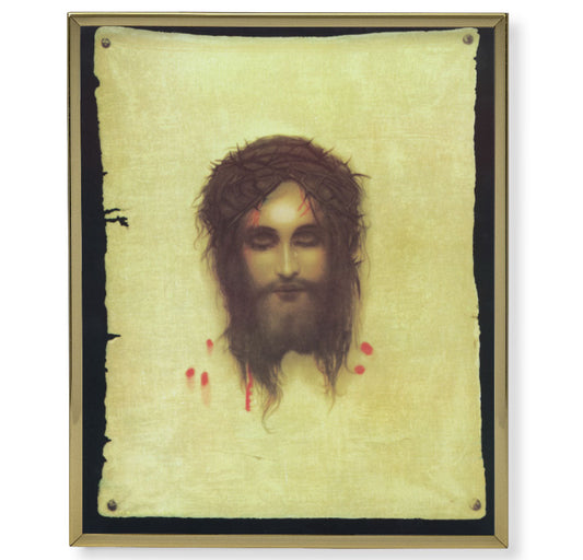 Veronica's Veil Picture Framed Plaque Large Gold Frame